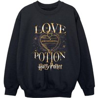 Harry Potter Boy's Love Potion Sweatshirt in Black | Size: 5-6 Years