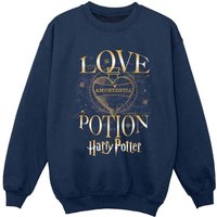 Harry Potter Boy's Love Potion Sweatshirt in Navy | Size: 7-8 Years