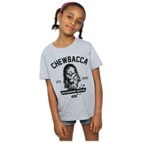 Collegiate Chewbacca T Shirt Years