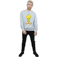 Looney Tunes Men's Angry Tweety Sweatshirt in Grey | Size: Medium
