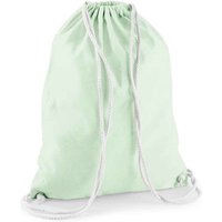 Westford Mill Men's Cotton Drawstring Bag in Mint