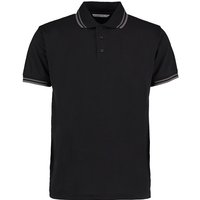 Tipped Classic Polo Shirt