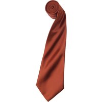 Premier Colours Satin Tie in Beige