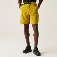 Regatta Men's Mallen Cargo Shorts in Yellow | Size: 2XL