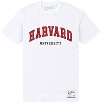 Harvard University Men's Est 1636 T-Shirt in White | Size: 3XL
