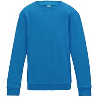 AWDis Just Hoods Sweatshirt in Duck Egg Blue | Size: 3-4 Years
