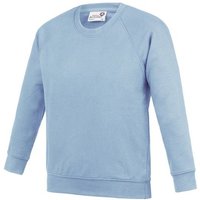 Academy Raglan Sweatshirt Blue