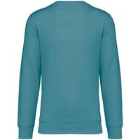 Native Spirit Men's Crew Neck Sweatshirt in Duck Egg Blue | Size: XS