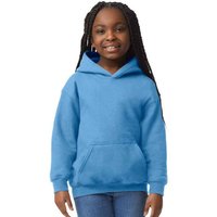Heavy Blend Hooded Sweatshirt Duck Egg