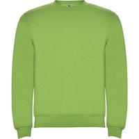 ROLY Men's Clasica Crew Neck Sweatshirt in Green | Size: Large