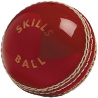 Gunn And Moore Skills Stitched Cricket Ball in Red