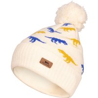 Dillan Beanie