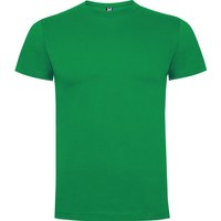 ROLY Dogo T-Shirt in Pale Green | Size: 3-4 Years