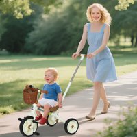 Trike Adjustable Parent Handle Basket