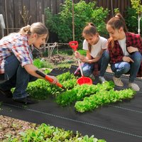 OUTSUNNY 2m x 90m Weed Control Membrane, Heavy Duty Weed Barrier Fabric in Black