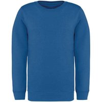 Native Spirit Plain Mid Grey Sweatshirt in Blue | Size: 8-10 Years