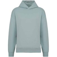 Native Spirit Men's Oversized Hoodie in Jade | Size: XL