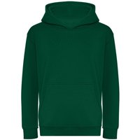 AWDis Hooded Sweatshirt Hoodie in Green | Size: 3-4 Years