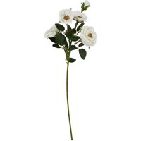 Hill Interiors The Natural Garden Collection Hedge Rose Artificial Flower in White