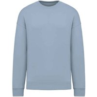Native Spirit Women's Oversized Sweatshirt in Aqua | Size: Small