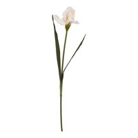 Hill Interiors The Natural Garden Collection Fringed Iris Artificial Flower in Green