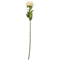 Hill Interiors Protea Lorea Stem Artificial Plant in Cream