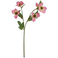 Hill Interiors The Natural Garden Collection Varigated Hellibore Artificial Flower in Pink