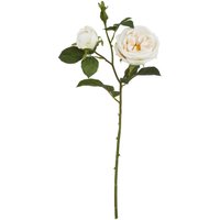 Hill Interiors The Natural Garden Collection Charity Rose Artificial Flower in Pale Pink