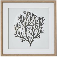 Hill Interiors Atol Coral Framed Art Print in Dark Brown