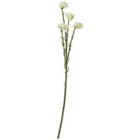 Hill Interiors Statice Artificial Flower Spray in Cream