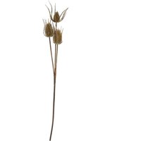 Hill Interiors Triple Teasel Artificial Flower in Brown