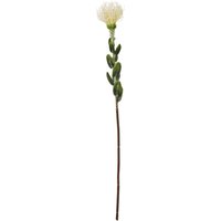 Hill Interiors Pincushion Protea Spray Artificial Flower in Cream