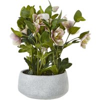 Hill Interiors Hellebore Artificial Potted Plant in Pink