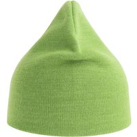Holly Baseball Cap