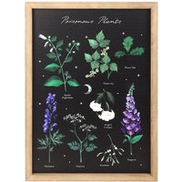Something Different Poisonous Plants Framed Wall Art