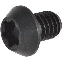 Rt 3.5 Torx Replacement Screws