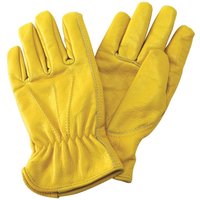 & Luxury Leather Gloves 5063750778112