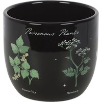 Something Different Poisonous Plants Plant Pot in Black