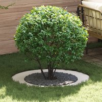 Berkfield Home White Planter White Plastic Large Lightweight Plastic Planter