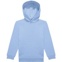 ID.333 Hoodie Pale