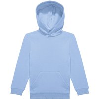 ID.333 Hoodie Pale
