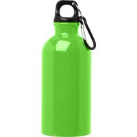 Floso Stainless Steel Single Wall 400ml Water Bottle in Green