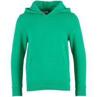 Build Your Brand Basic Hoodie in Light Green | Size: 11-12 Years