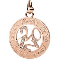 Folli Follie Women's 3P1T014RC Charm in Rose Gold