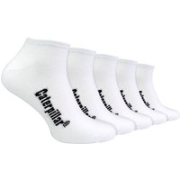 CAT Men's 5 Pack Cotton Rich Trainer Work Socks in White | Size: 12-14