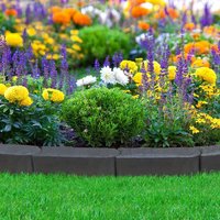 Primrose Stomp Edge Slate Garden Edging 30cm Single in Green