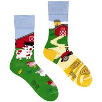 SPOX SOX Men's 1 Pack Mismatched Novelty Odd Socks - Farm | Size: 11-13