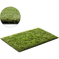Artificial Grass Alvira Rug cm x 150 cm