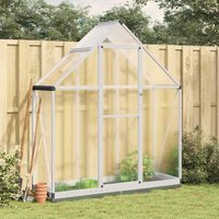 Berkfield Home Greenhouse with Base Frame Silver 169x58x202 cm Aluminium | Size: 169 x 58 x 202 cm