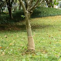 Berkfield Home Jute Roll 0.25x25 m 100% Jute 200 gsm